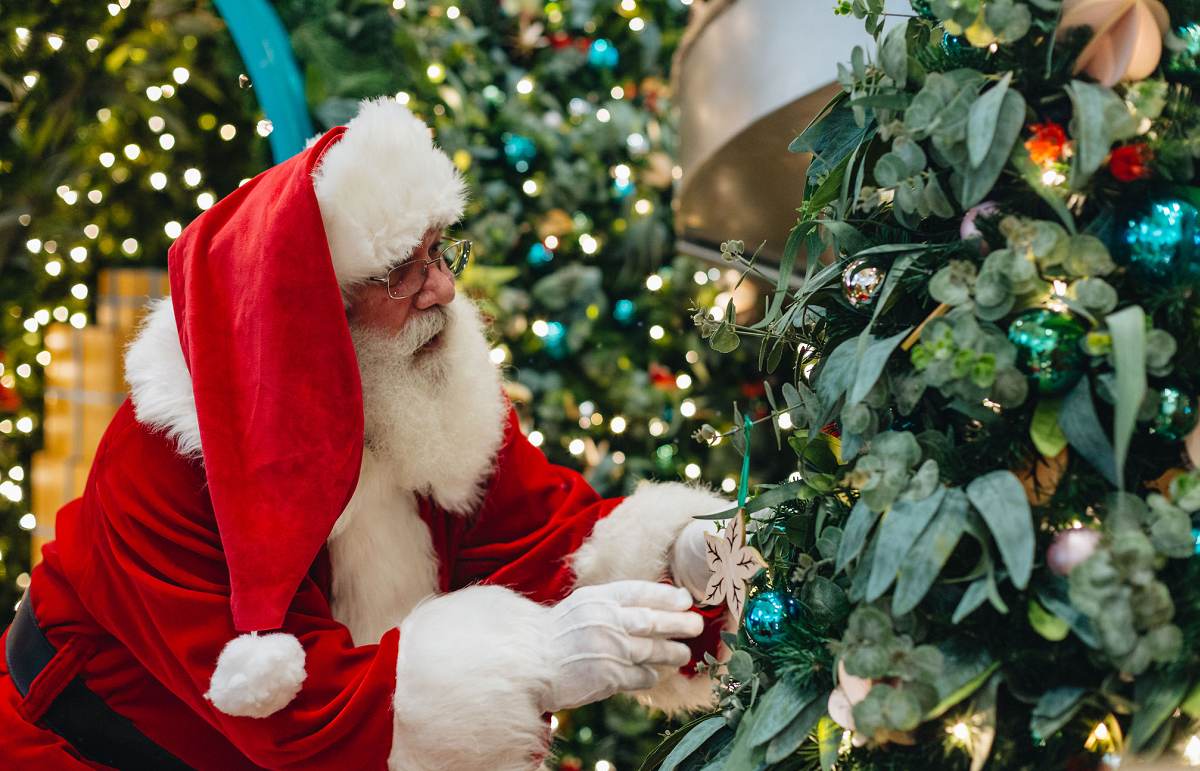 Sensitive Santa Photography