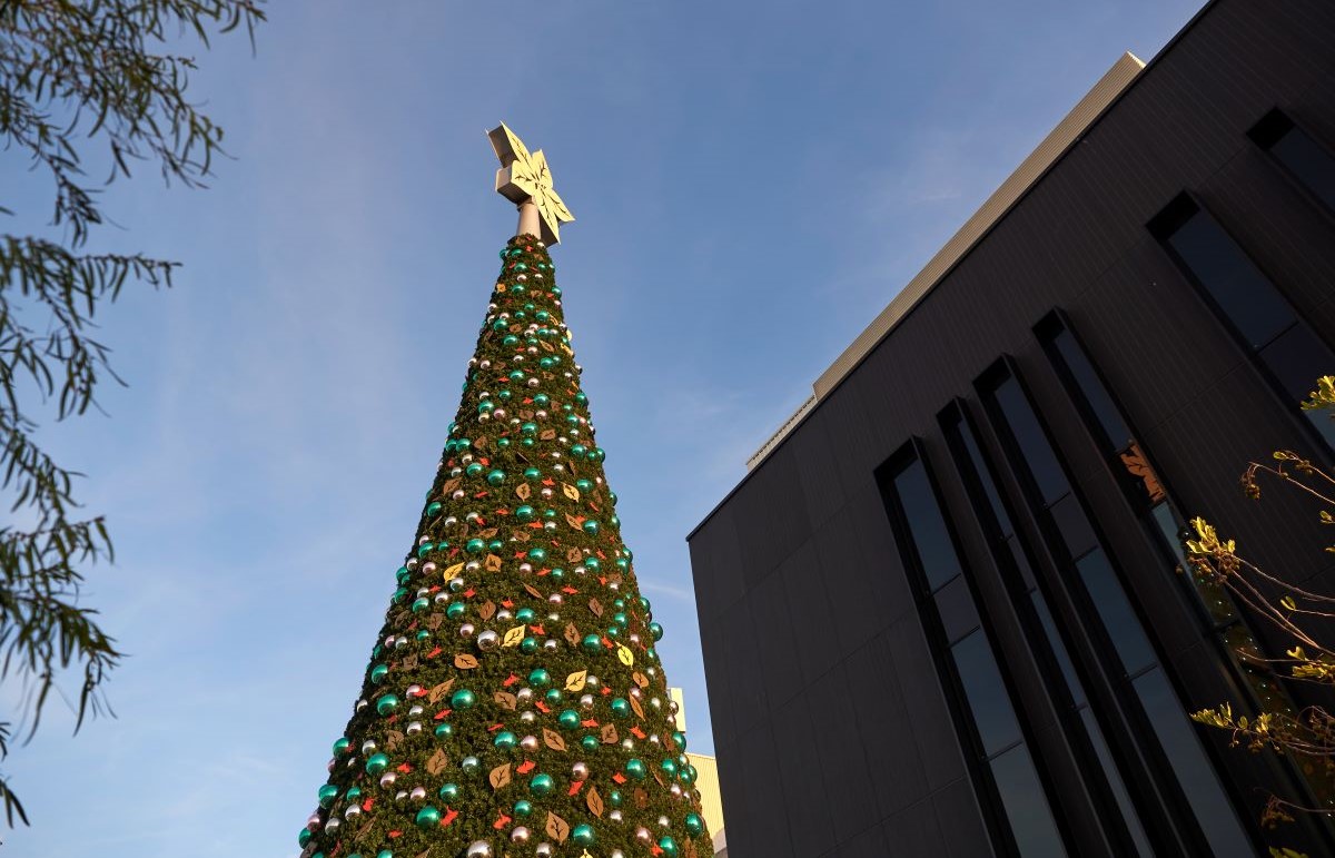 Lighting of the Tree